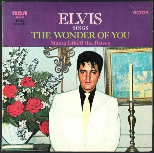 Vinyles rock Elvis Presley 17 cm