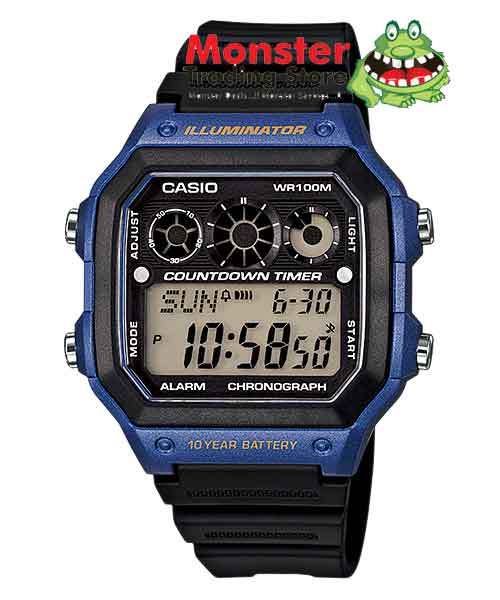 ebay casio watch