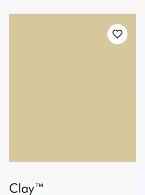 LITTLE GREENE PAINT *PROBE 10MLS* TON 39 ABSOLUT MATT EMULSION 