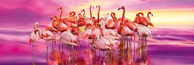 Puzzle (1000 T.) Tanz der Flamingos (Panorama) (Clementoni) NEU/OVP