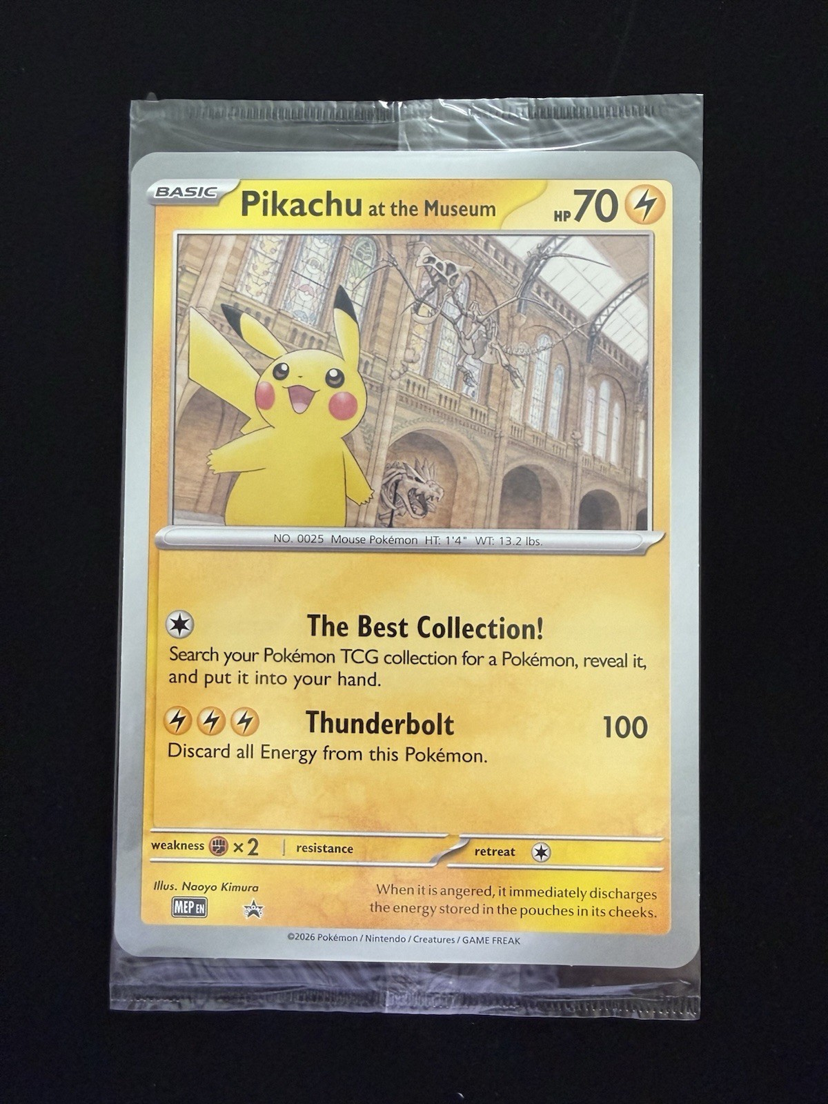 Pokemon TCG Pikachu At The Museum Jumbo Promo Card SEALED