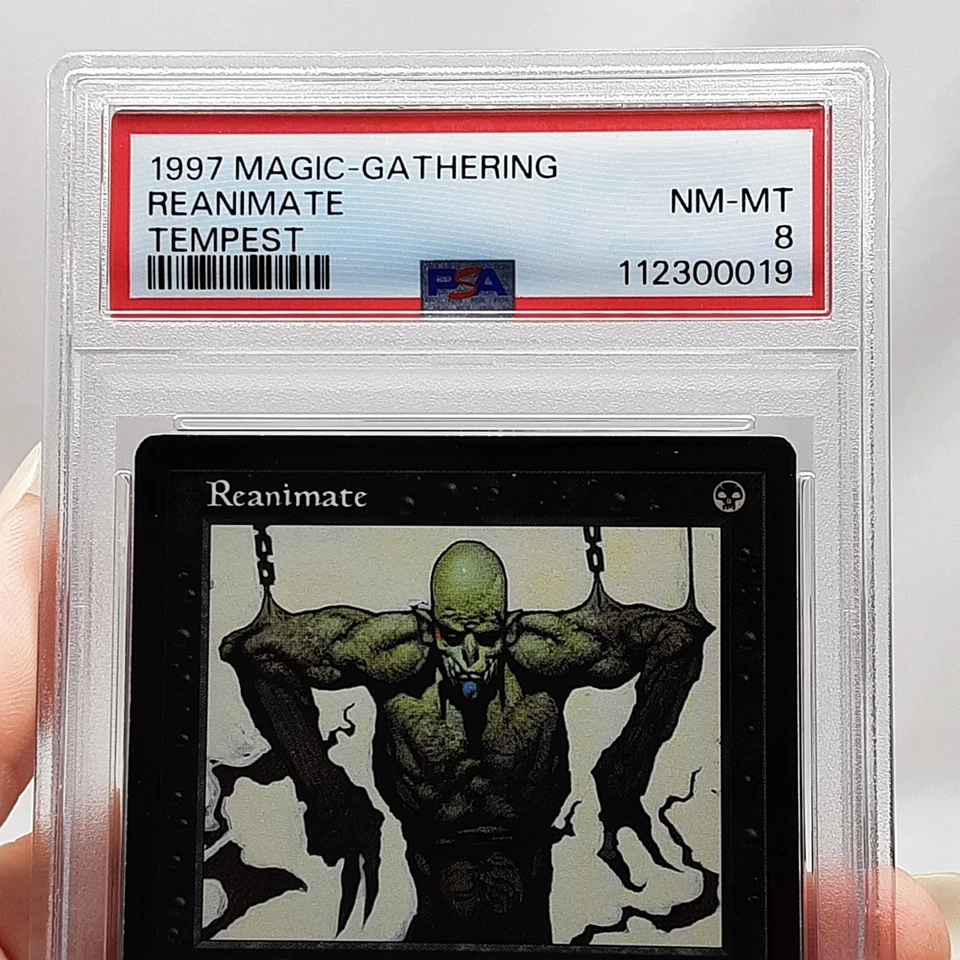 MTG - Tempest - Reabimate - Vintage - Graded PSA 8 - Image 2 of 4