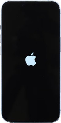 Apple iPhone 14 6,1'' Smartphone Handy 256GB 12MP Dual-SIM iOS blau 1730611