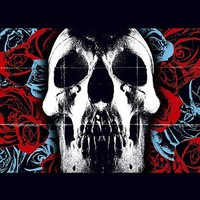 Deftones - Vinyl Record - K600Z