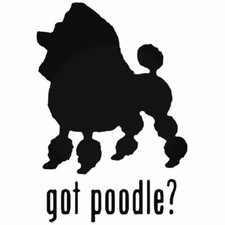 Got Poodle Vinyl Decal Car Window Cup Mug Different colors