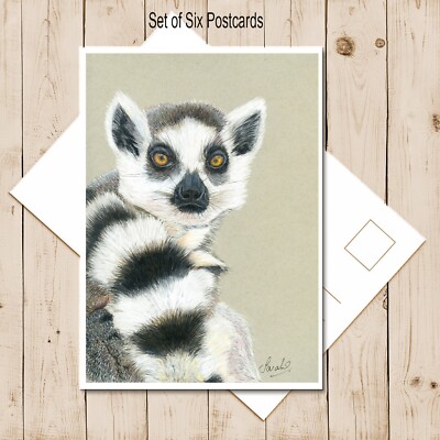 6er Set Postkarten, Ringschwanz Lemur - Drucke aus meiner eigenen Originalzeichnung