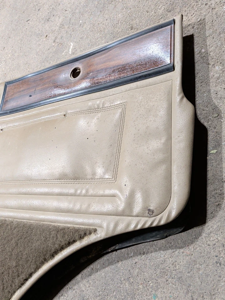 Panel de puerta delantera Dodge Van B150 B250 B350 SOLO LADO DEL CONDUCTOR Foto 3 de 4