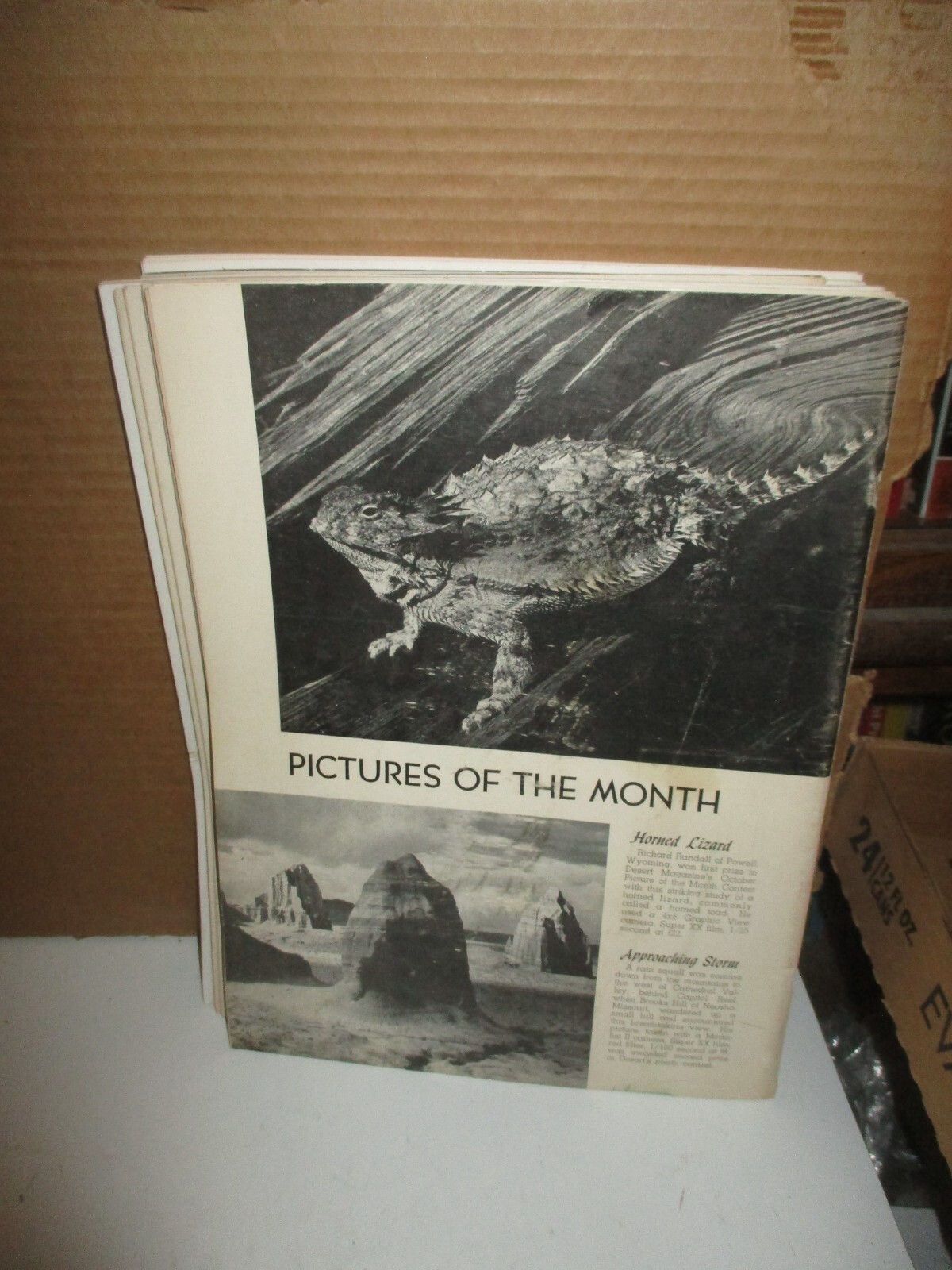 Picture 12 of 12