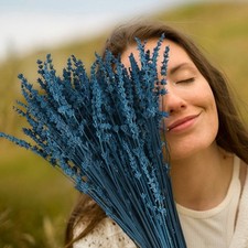 Dried Blue Lavender Flowers Bundle-Dried Preserved Lavender Bouquet 15''-17" for