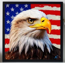 ORIGINAL Oil PAINTING on Canvas  White eagle  Art 12x12 in Textured Artwork