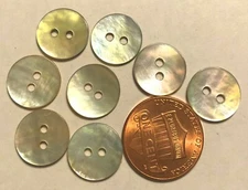 8 Slightly Curved Iridescent Abalone Shell Buttons 1/2" 12.6mm 9696