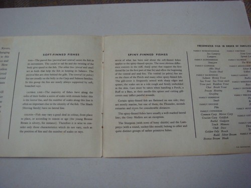 FRESHWATER FISH BROOKE BOND ALBUM COVER ONLY PRICE SIXPENCE - Picture 2 of 2