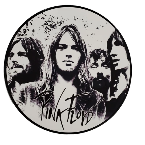 Pink Floyd - Band Photo Picture Disc - Real Vinyl 12" - Upcycled Wall Art