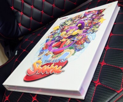 Lot De Decks De Skateboard Shantae & Risky (Pirate's Curse) - Limited Run Games, Tout Neuf