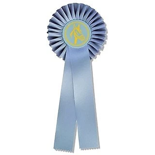 DECADE Turnierschleifen Rosetten Sigerschleifen Pferdeschleifen