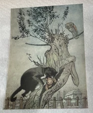 Arthur Rackham Antique Print Poor Cecco From Antique Magazine Murrum's Revenge