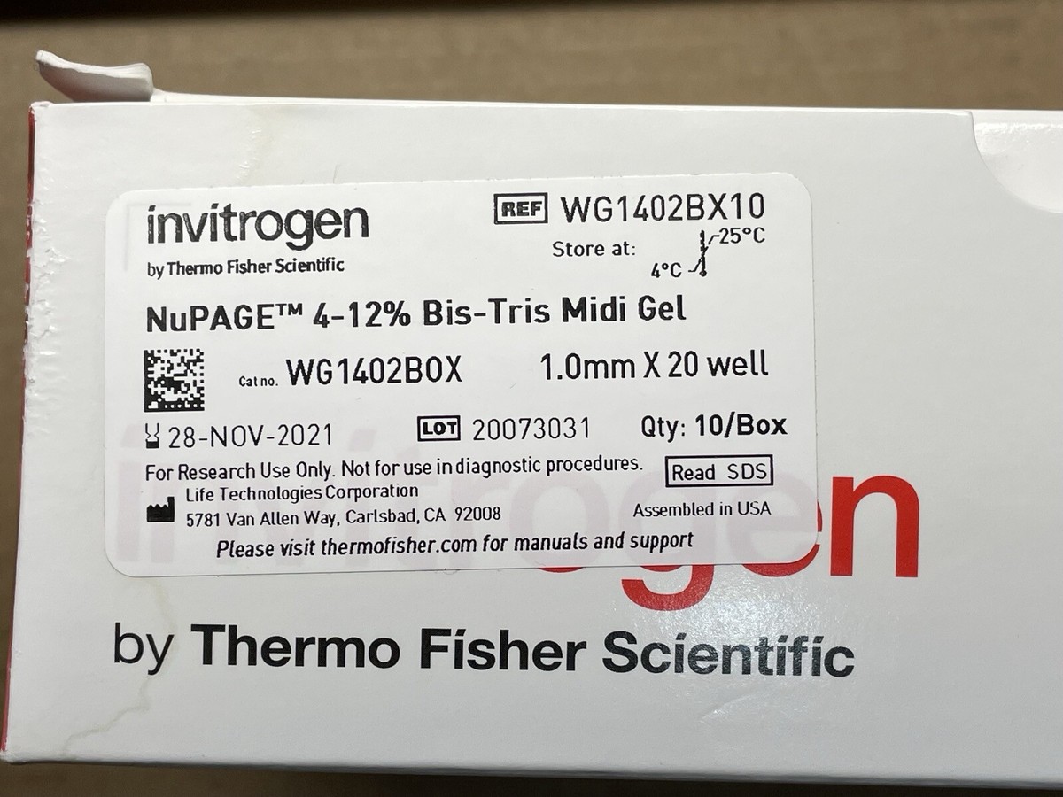 Thermo Scientific Invitrogen NuPAGE Bis-Tris Midi Protein Gels,