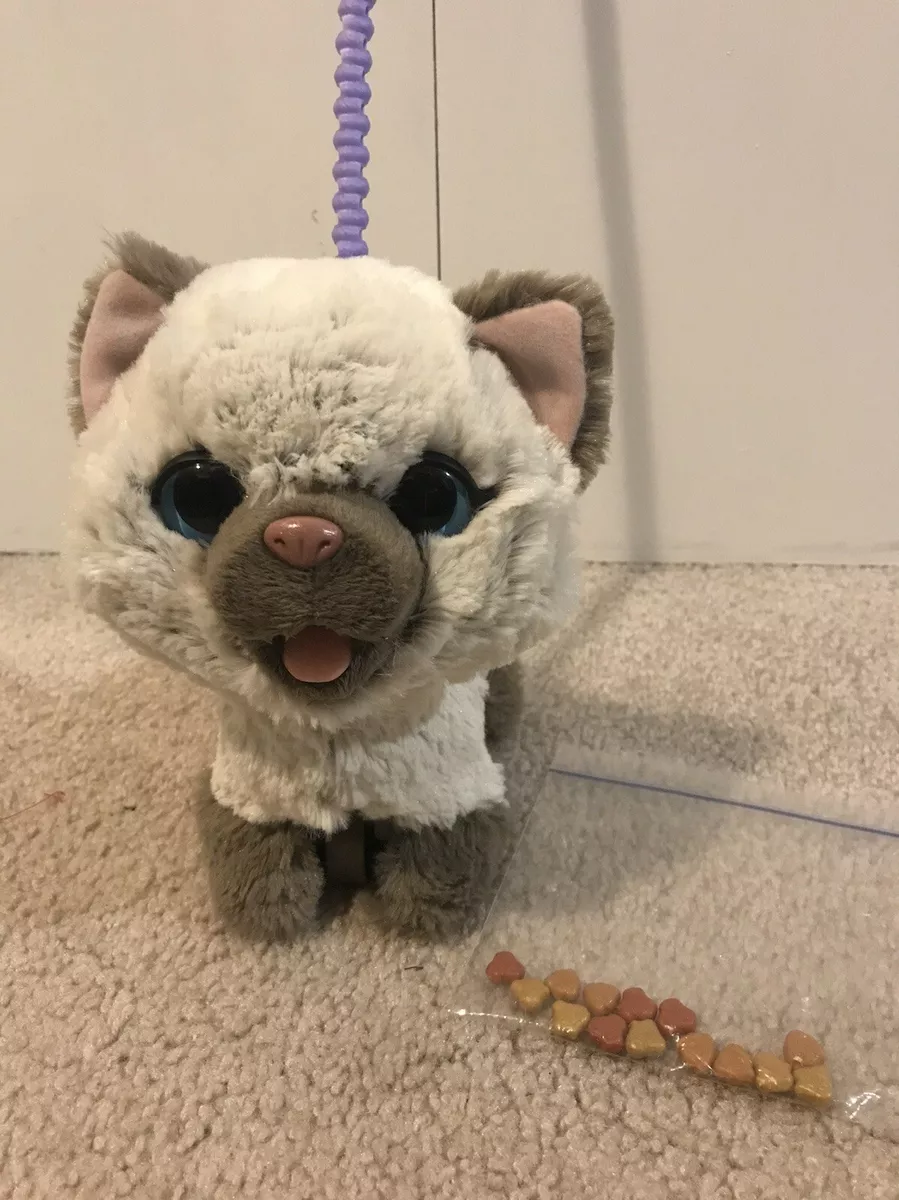 Furreal my top poopin kitty