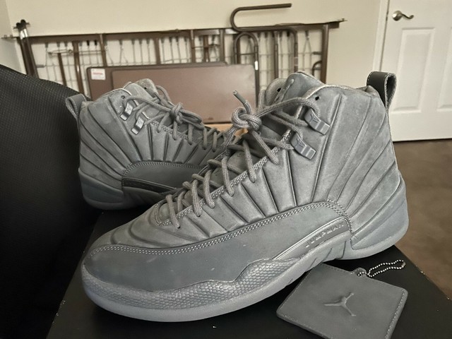 public school new york jordan 12