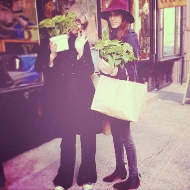 Penelope Chilvers Cubana Terciopelo Chelsea Botines EU 38 / US 8 Alexa Chung Foto 4 de 4