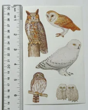 Mrs Grossman OWLS - 1 Sheet of STUDIO LINE Vintage Stickers RARE HTF