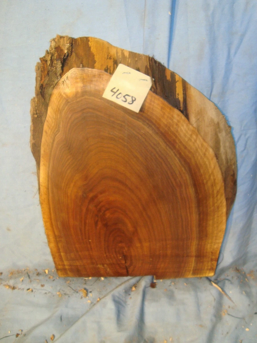 Black Walnut Live Edge Slab lumber craft wood table top 15"L 12 1/4"W  15/16"T