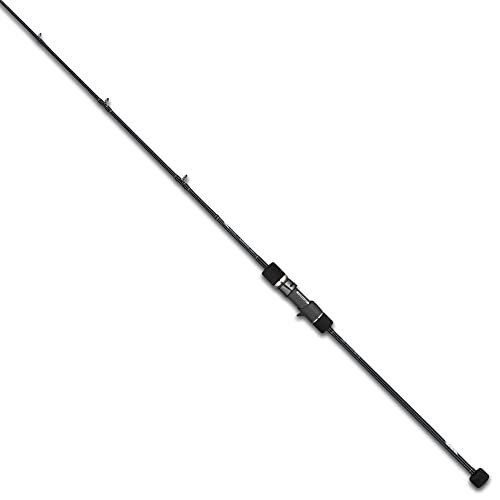 Tailwalk Baitcasting Rod SLOW BUMP SSD 634
