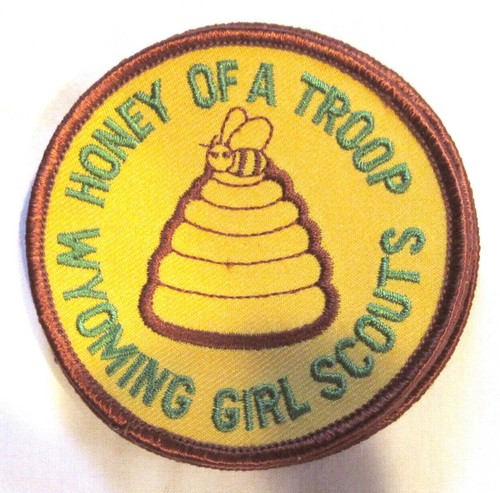 47 Different Girl Scout Council PATCHES By State: VT VA WA WV WY CHOOSE ONE - Picture 49 of 49