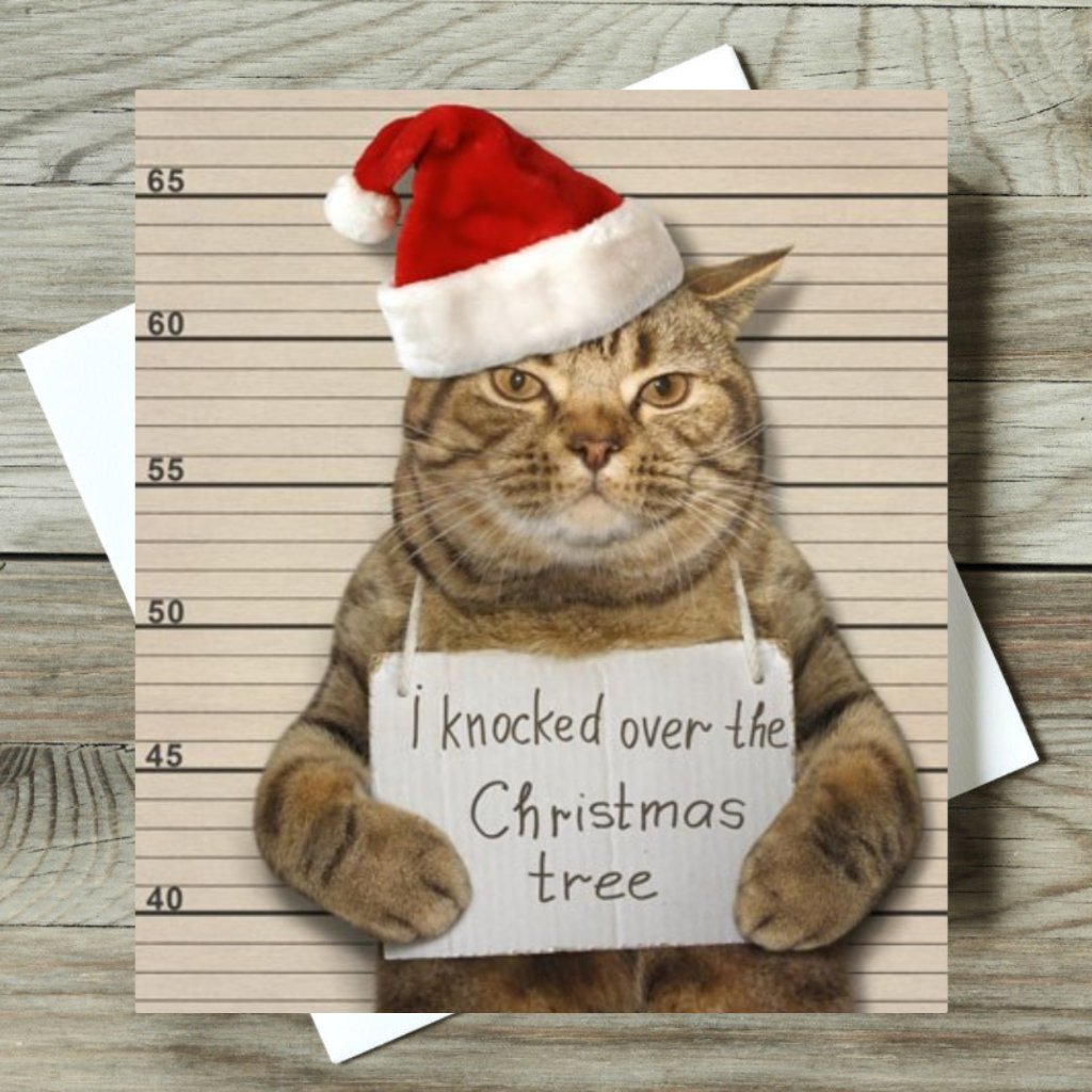 Moggie Mugshot Funny Naughty Cat Glitter Greeting Card Christmas Cards Humorous