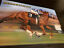 thumbnail 5  - Secretariat Hair Strand Lock Relic Historic Horse Mane Kentucky Derby Racehorse