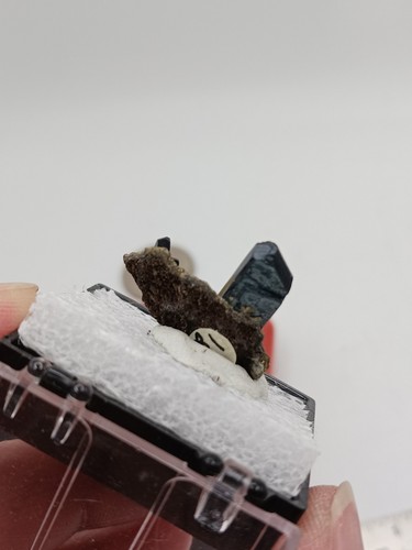 Stunning Vivianite specimen In Display Old Estate On Matrix Meracacala Bolivia - Picture 6 of 17