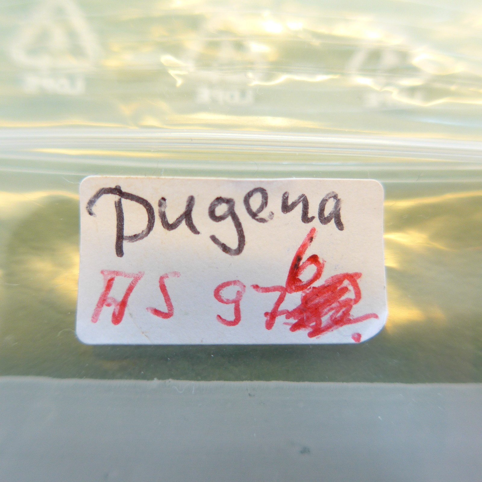 AS 976: Swiss Production Functional Separate Move… - image 3