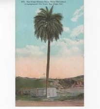 San Diego Mission Palm  Serra Monument San Diego California 1924 postcard