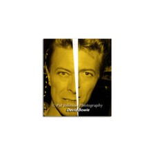 David Bowie Photograph Art Print 1991 San Francisco