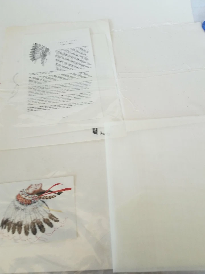 Instrucciones de bordado de cabeza india Foto 4 de 4