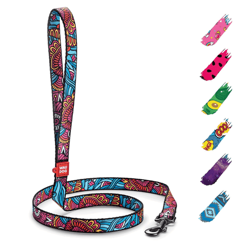 Nylon Dog Leash for Small Medium Dogs 4 Ft Strong Dog Leash Colorful Heavy Duty - 第 1/5 張圖片
