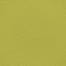 BMW Pale Yellow Leather Dye