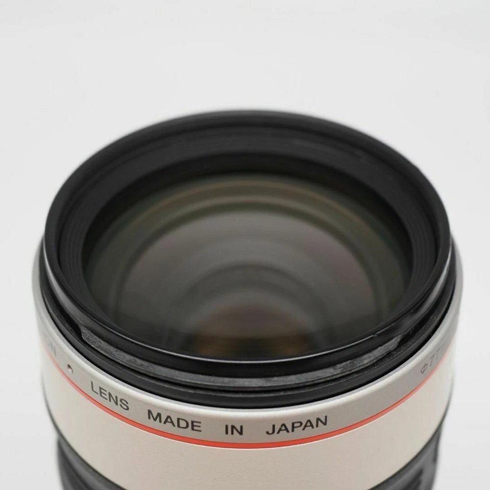Lente Canon Zoom EF 100-400mm f/4.5-5.6 L IS USM AF | Excelente +5 - Imagen 4 de 4