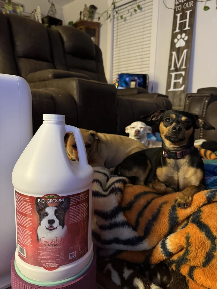 Champú antipulgas y garrapatas Bio Groom champú para perros de 1 galón Foto 3 de 4