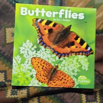 Capstone Press Little Critters Butterflies Lisa J. Amstutz Hardcover Book