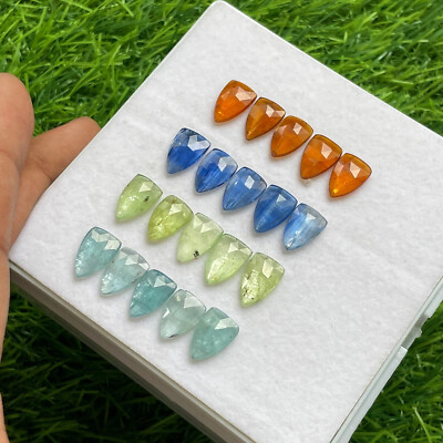 AAA+ Natural Multi Kyanite Rose Cut Shield Shape Loose Gemstone 8x12mm 20pcs