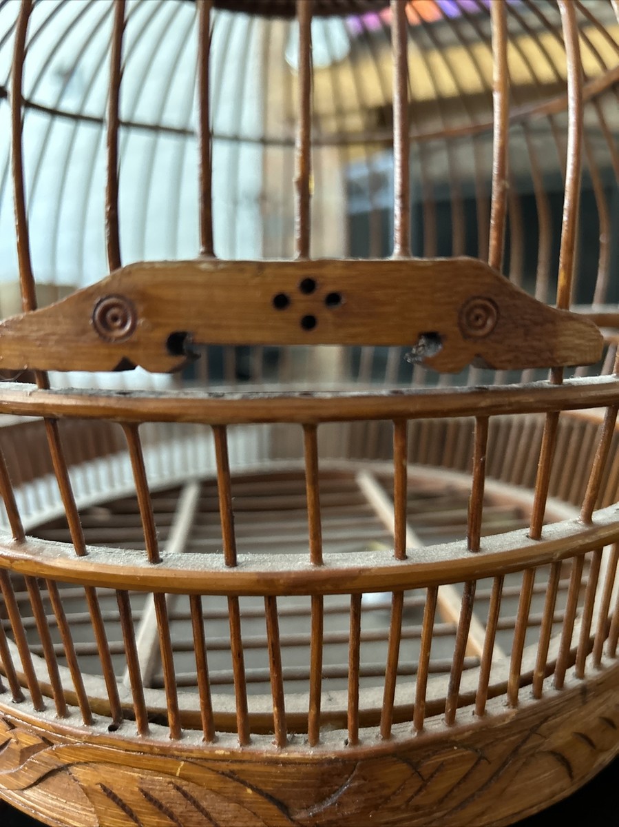 ログコレクション　birdcage Amazon.co.jp: ONE PIECE Log Collection “BIRDCAGE