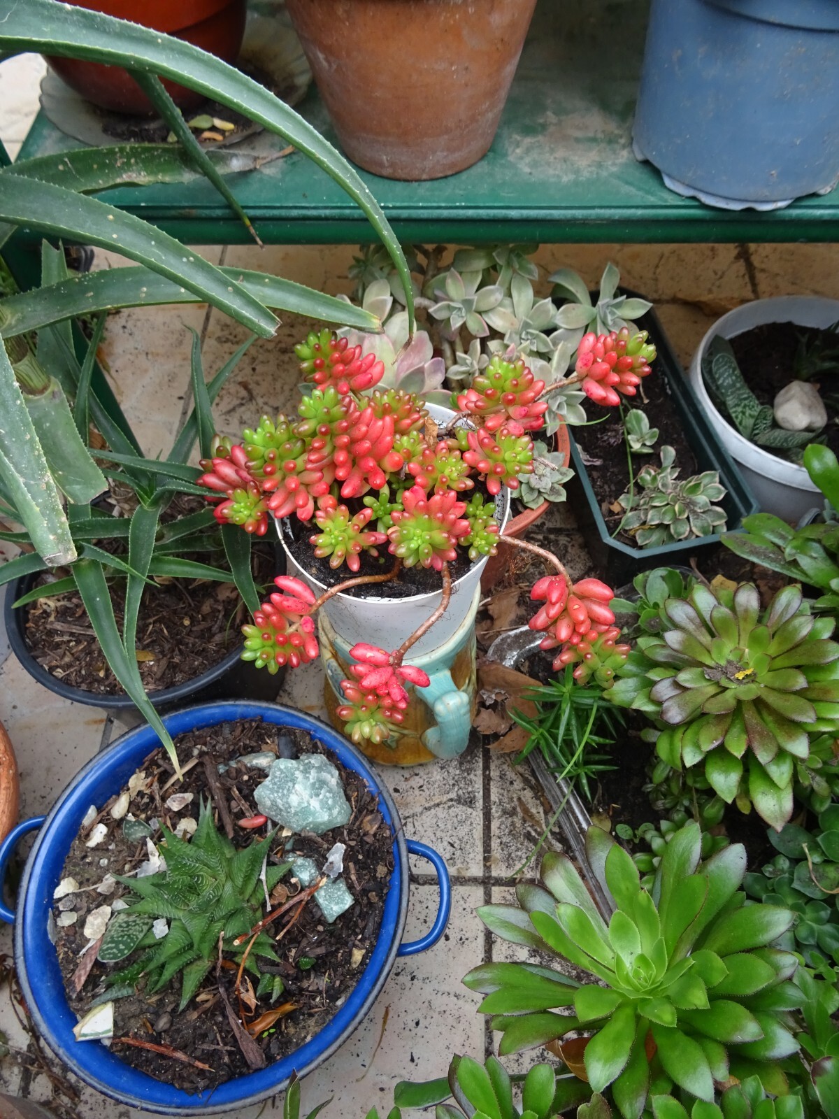 Picture 10 of 24