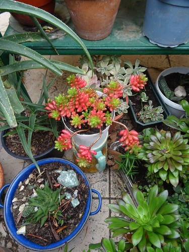 la poupée barbie et son téléphonne =voir plantes de mon jardin - Picture 10 of 24