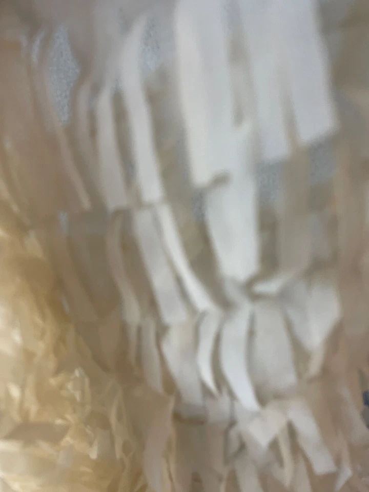 Lote de tela 2 yardas 56 W ropa corte láser beige vainilla flecos organza transparente Foto 4 de 4