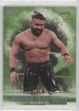 2017 Topps WWE Undisputed NXT Green 19/25 Andrade Cien Almas #42 9aj
