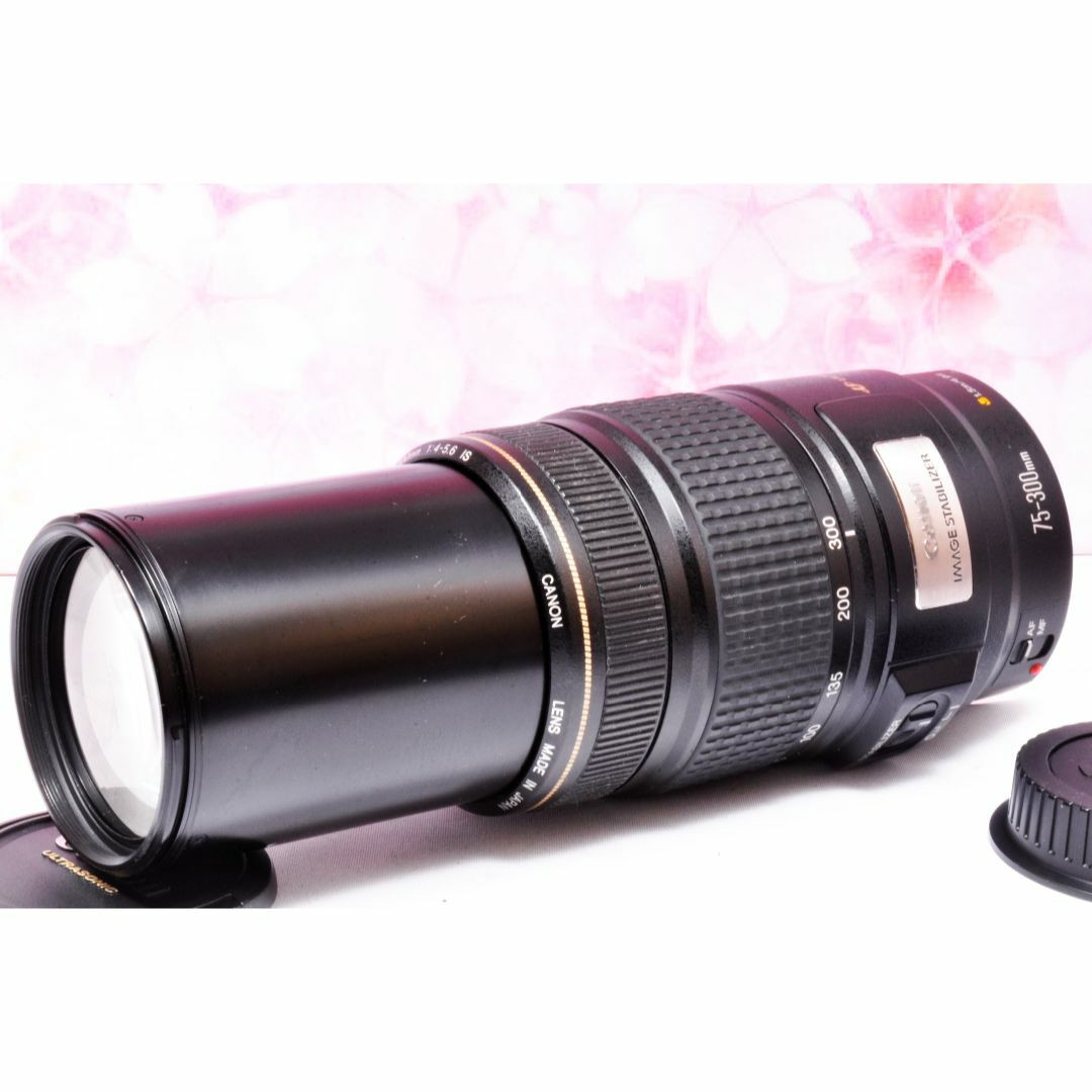Canon EF 75 300mm IS Image Stabilizer Lens