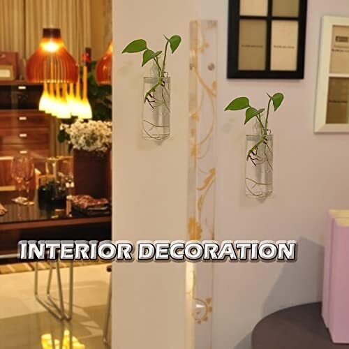 Wall Planters for Indoor Plants,Wall Hanging Terrarium 2 Glass Wall Planter - Picture 6 of 7