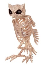 13.5" Owl Skeleton Decoration  Halloween Decoration
