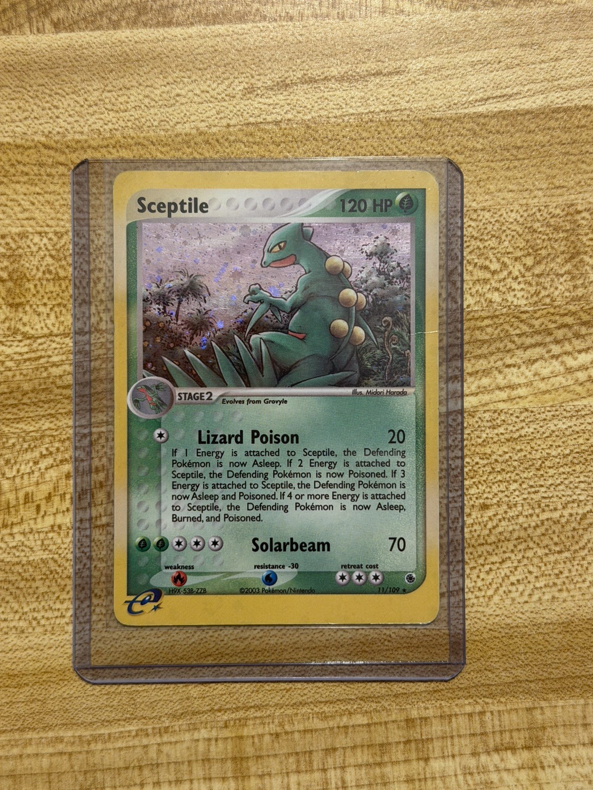 Pokémon Sceptile 11/109 Ruby and Sapphire Holo E-Reader